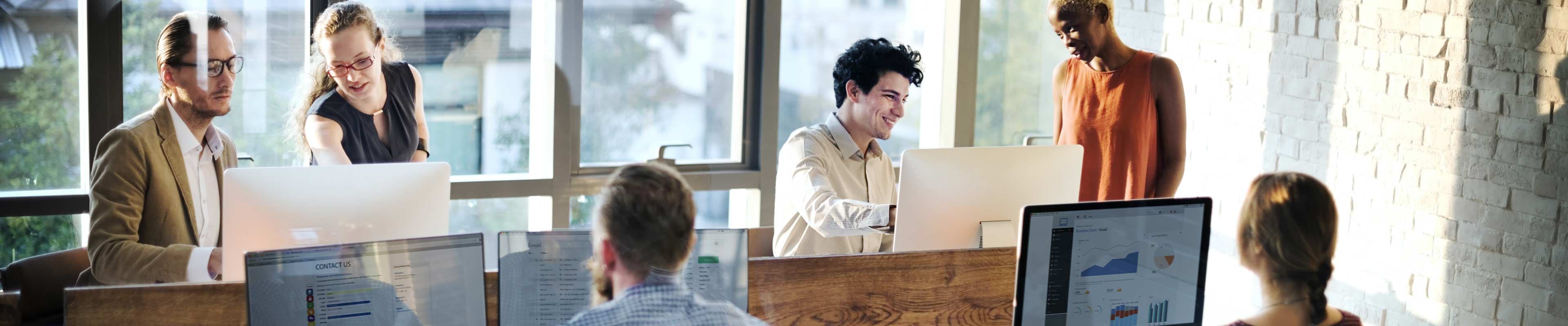 People in an office working on their computers and staying safe from cybercrime